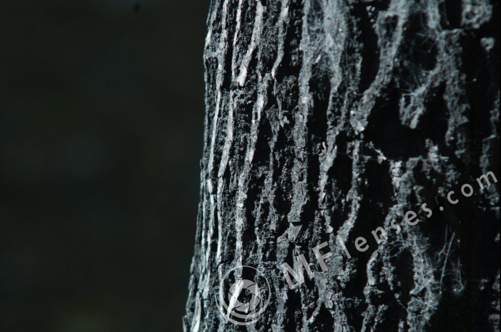 Sigma 200mm f/3,5 quick focus macro-309