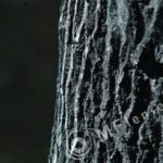 Sigma 200mm f/3,5 quick focus macro-309