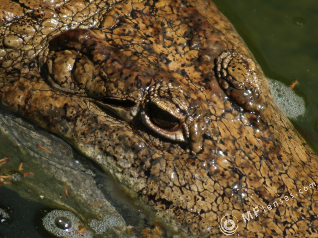 Sigma 400mm f/5.6-2305