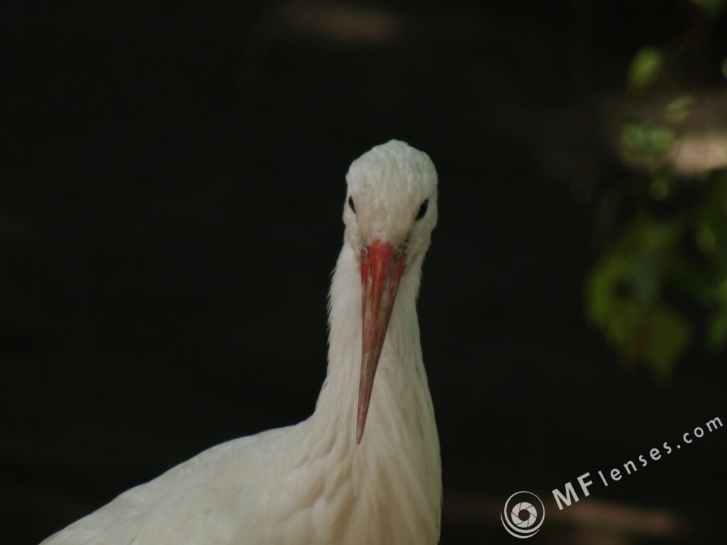 Sigma 400mm f/5.6-2307