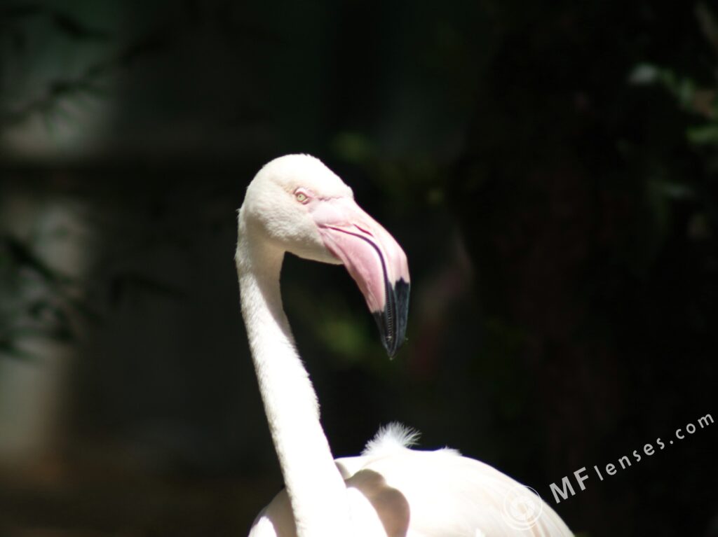Sigma 400mm f/5.6-2314