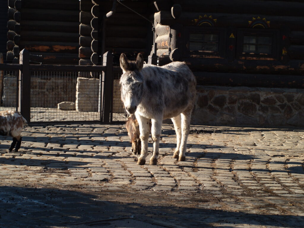 1.4/50mm SMC Pentax-5757