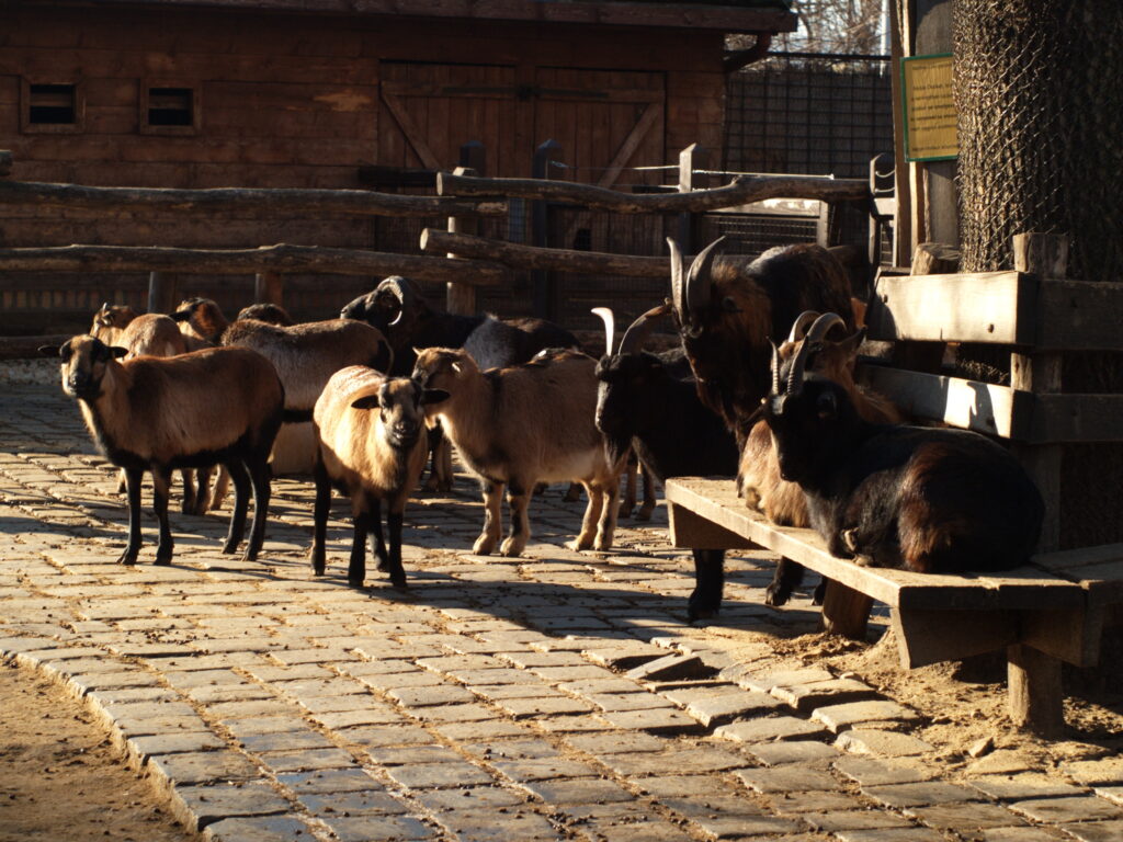 1.4/50mm SMC Pentax-5758