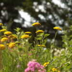 1.8/85mm Auto Takumar-4768