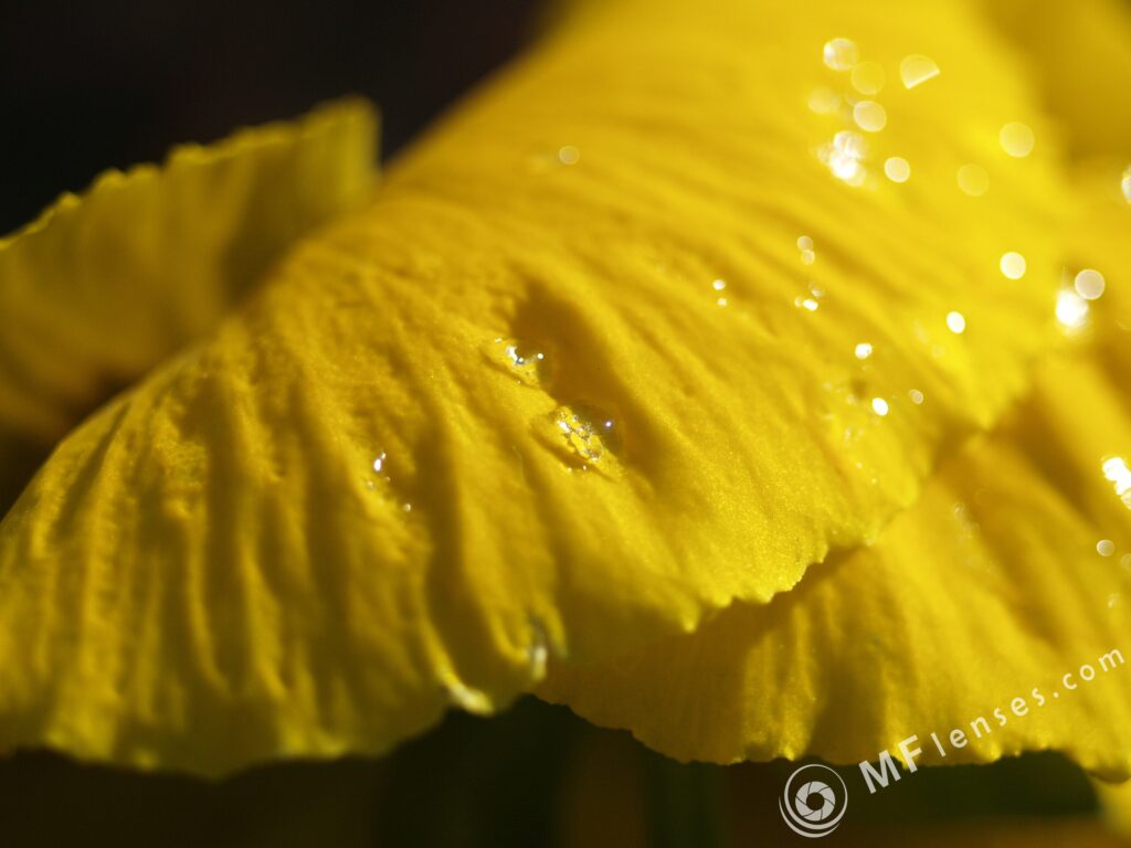 Macro Takumar 4/50mm Macro 1:1-3551