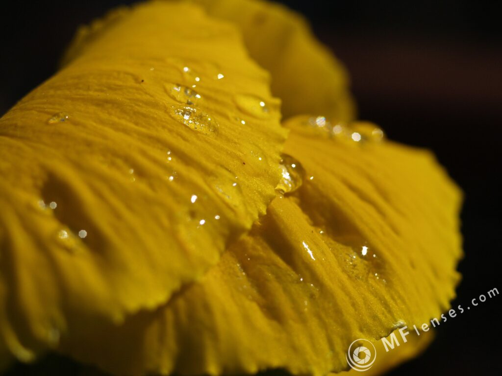 Macro Takumar 4/50mm Macro 1:1-3552