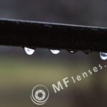 SMC Takumar 55mm f/2-1507