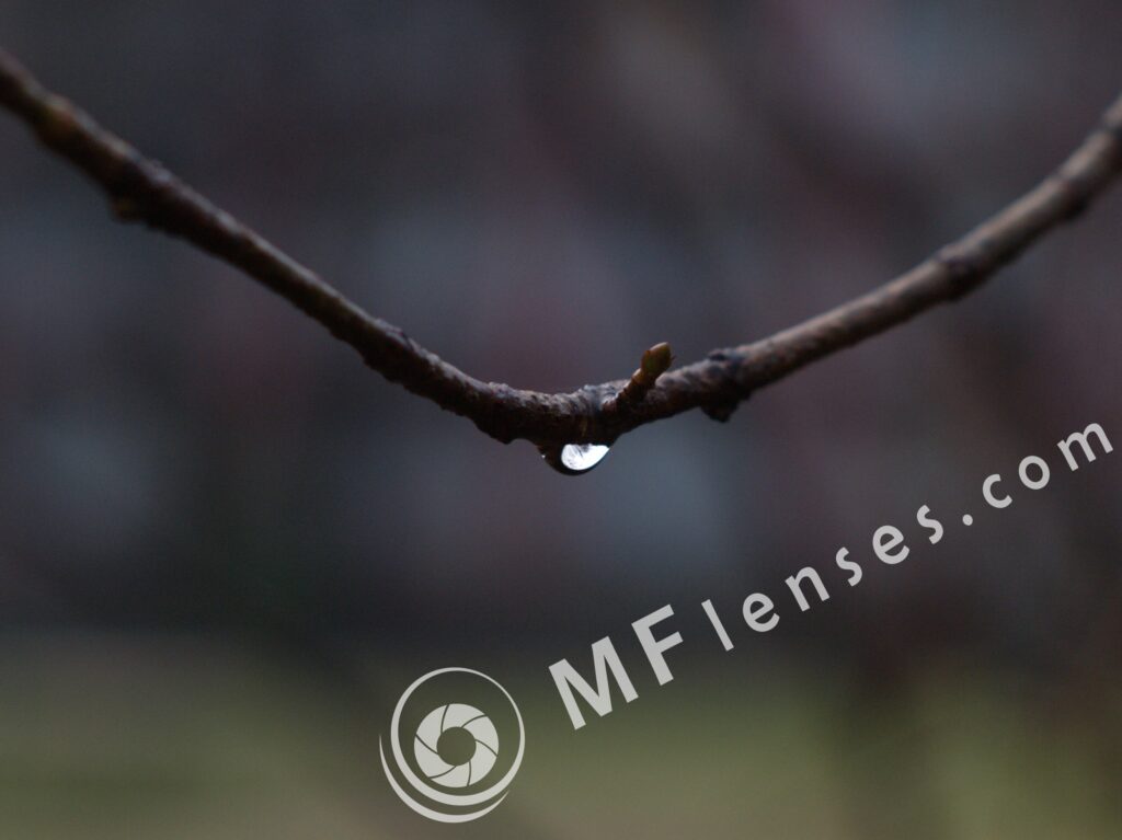 SMC Takumar 55mm f/2-1509