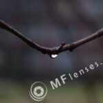 SMC Takumar 55mm f/2-1509