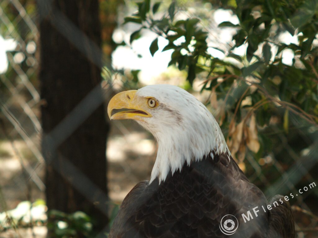 Super-Takumar 105mm f/2.8-2355