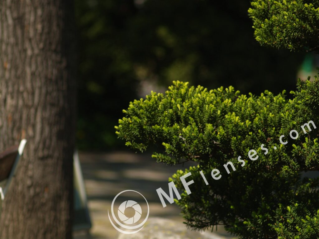 Early Takumar 135mm f/3.5 Chrome-1837