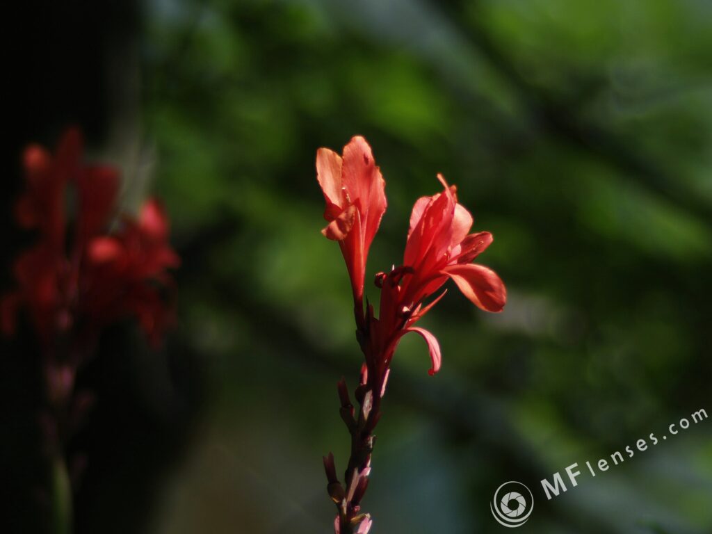 Vivitar Series 1 200mm f3-2247