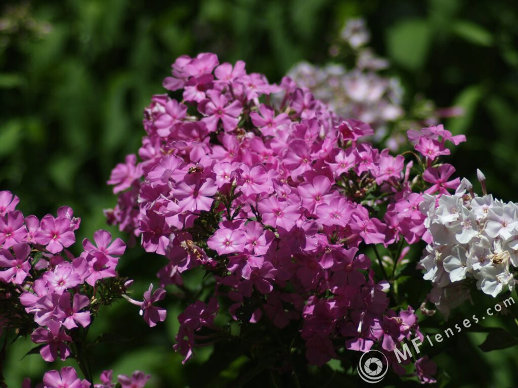 Vivitar Series 1 200mm f3-2258