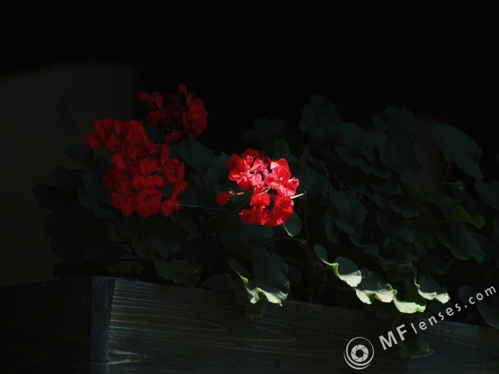 Vivitar Series 1 200mm f3-2245