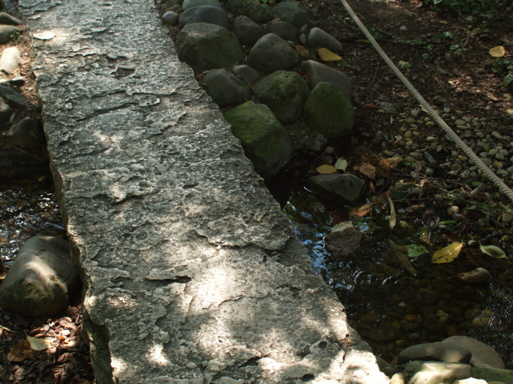 1.9/28mm Series 1 Vivitar-4840