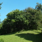 1.9/28mm Series 1 Vivitar-4841