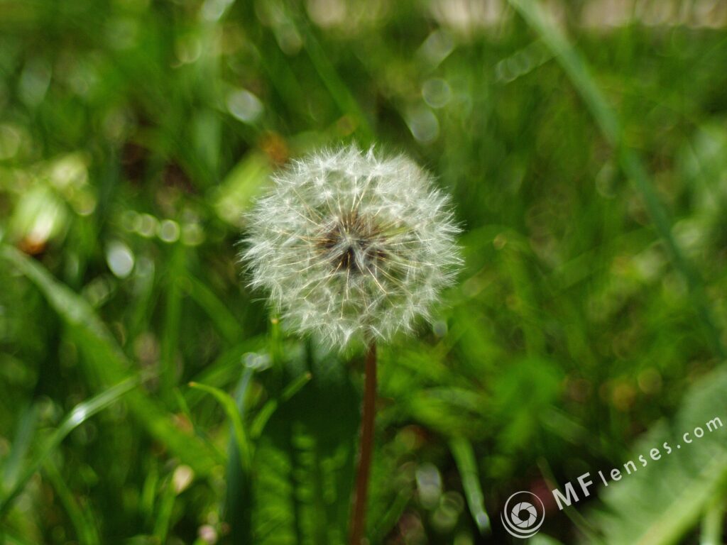 Vivitar Series 1 70-210mm f/3.5-1868