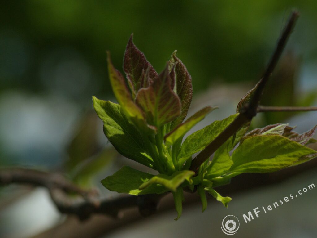 Vivitar Series 1 70-210mm f/3.5-1870