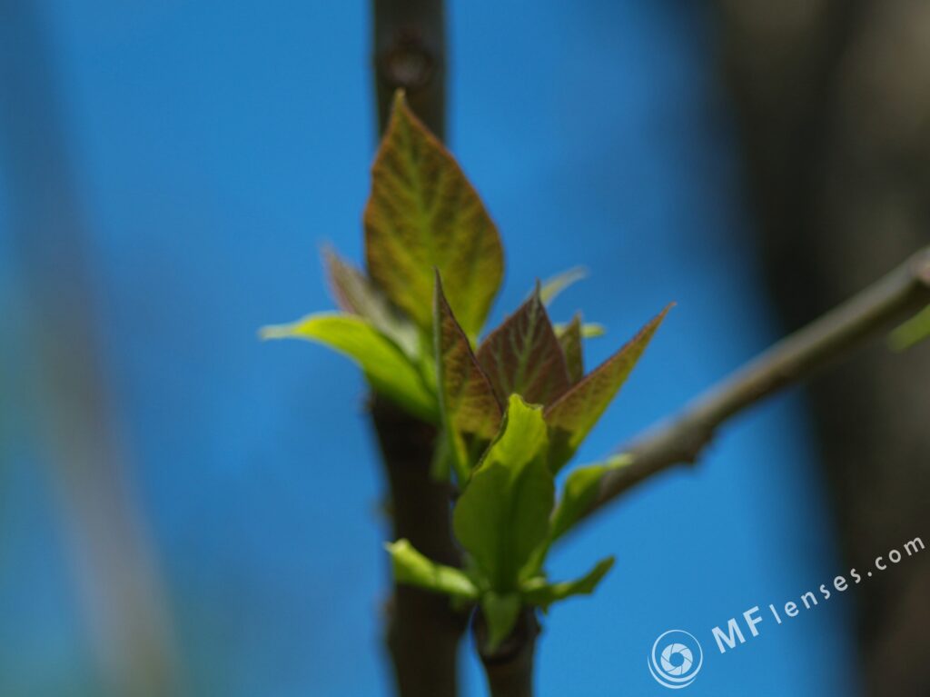 Vivitar Series 1 70-210mm f/3.5-1875