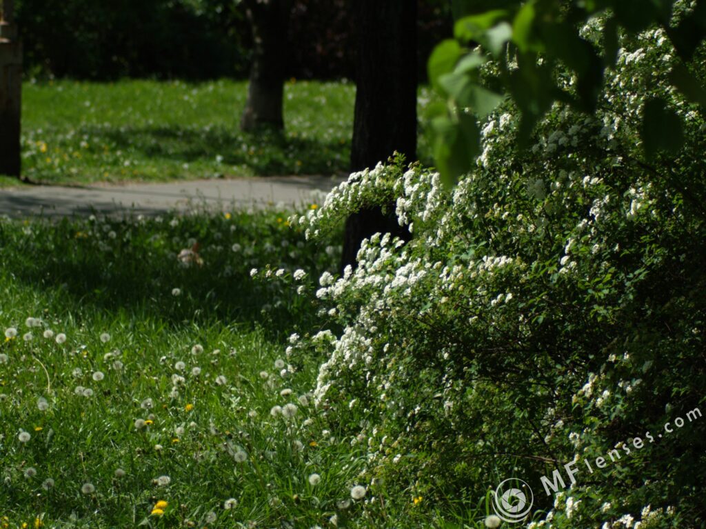 Vivitar Series 1 70-210mm f/3.5-1877