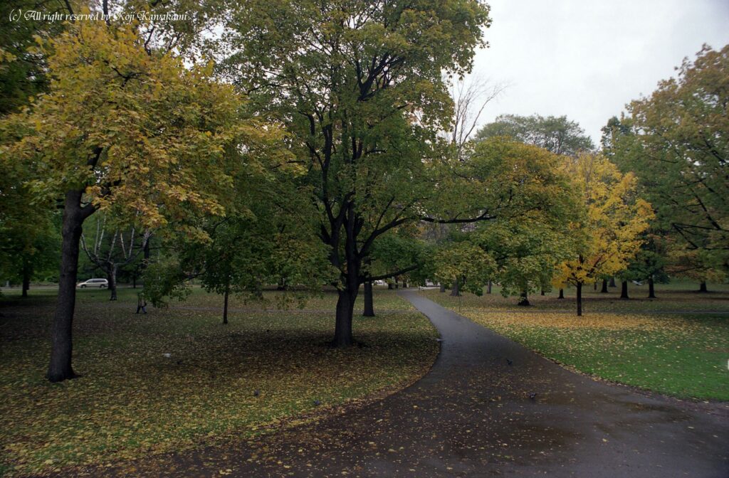 Yashica ML 24mm f2.8-3869
