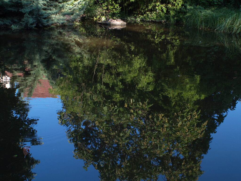 Yashica ML 24mm f2.8-4829