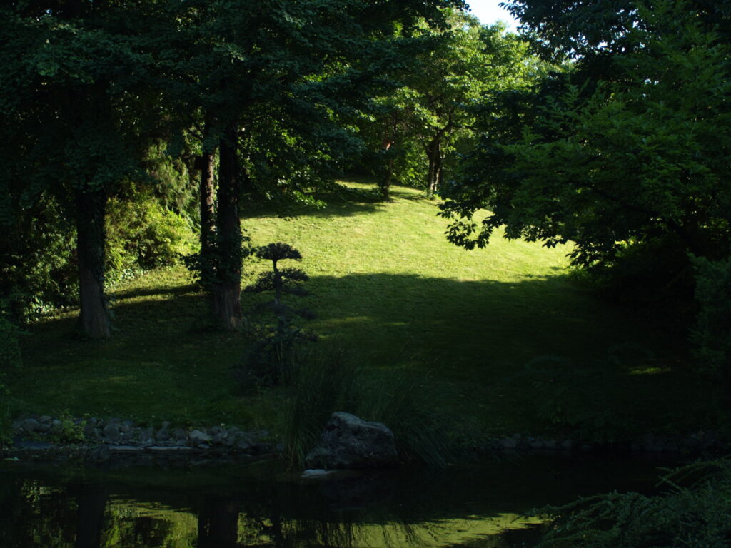 Yashica ML 24mm f2.8-4831