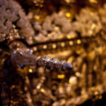 Planar 85mm f1.2 60 Years-5907