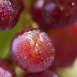 S-Planar 100mm f4-6540