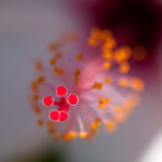 S-Planar 100mm f4-6541