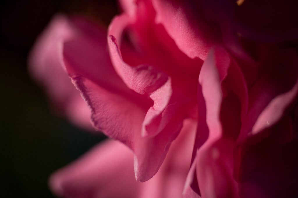 S-Planar 100mm f4-6542