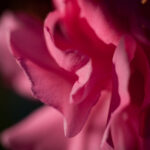 S-Planar 100mm f4-6542