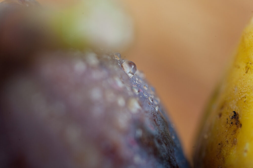 S-Planar 74mm f4-6555
