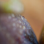 S-Planar 74mm f4-6555