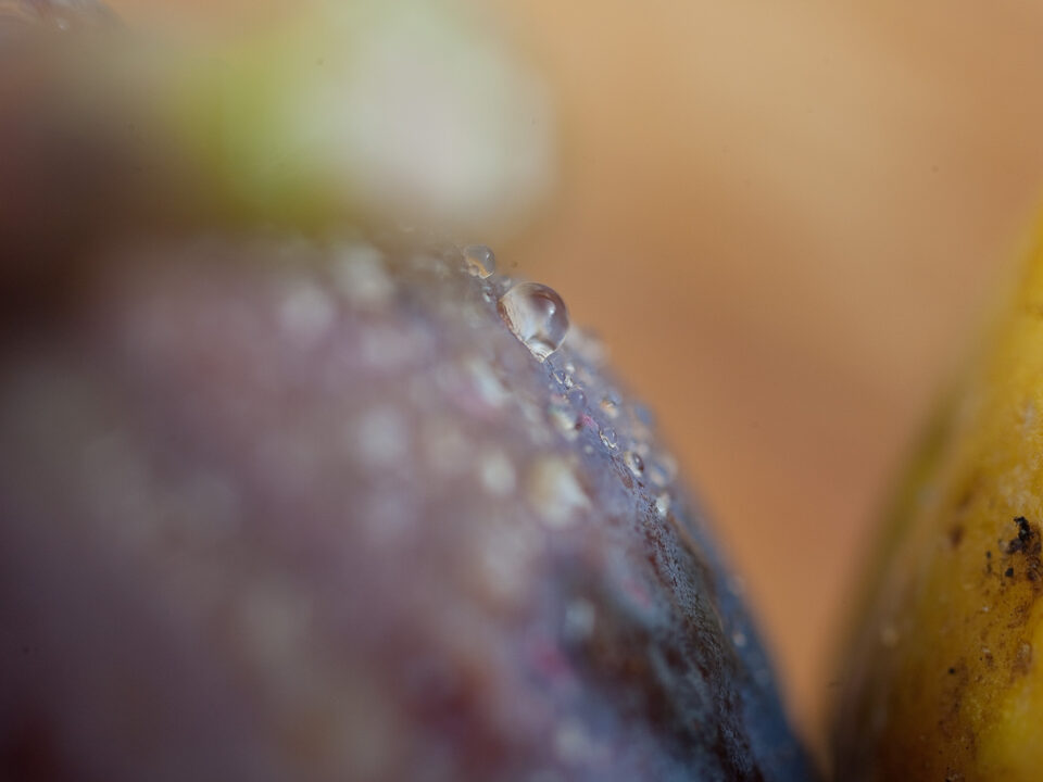 S-Planar 74mm f4