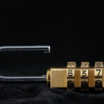 Voigtländer SL 125/2.5 Macro APO-Lanthar-6995