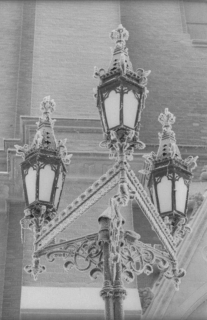 Ilford Delta 400 135-36-7003