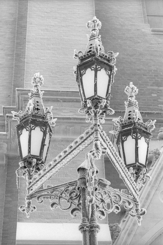 Ilford Delta 400 135-36-7011