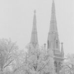 Ilford Delta 400 135-36-7004