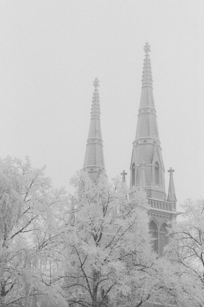 Ilford Delta 400 135-36-7004