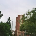 Chinon-3641