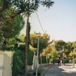 Chinon-3652