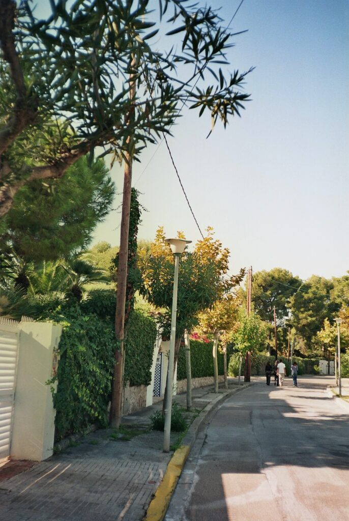 Chinon-3652