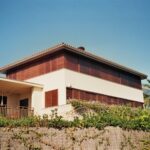 Chinon-3654