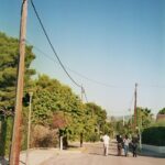Chinon-3663