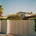 Chinon-3661
