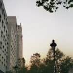 Chinon-3658