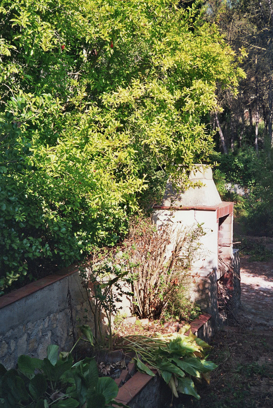 Olympus 35 RC-5199