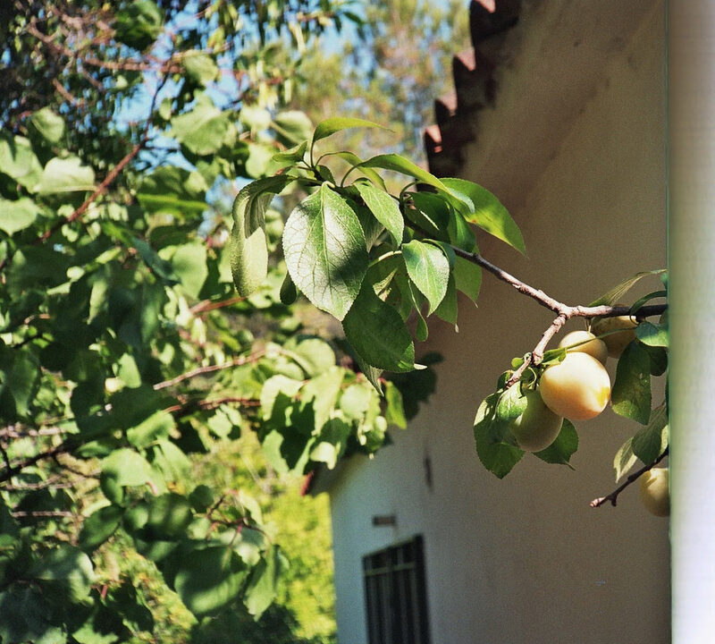 Olympus 35 RC