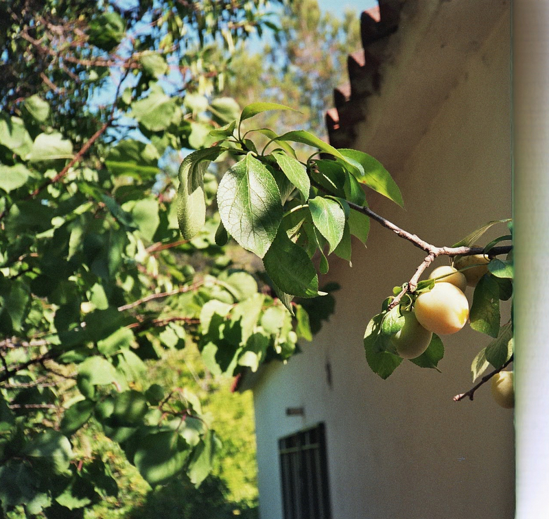 Olympus 35 RC-5201